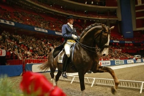 Stockholm International Horse Show