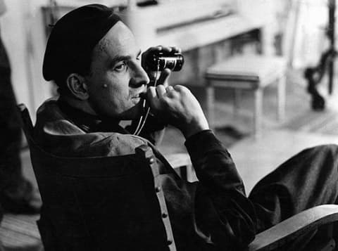 Bergman i bild