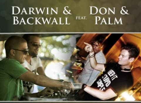 Darwin & Backwall/Don & Palm