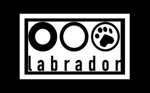 Labrador VS