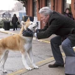 Hachiko