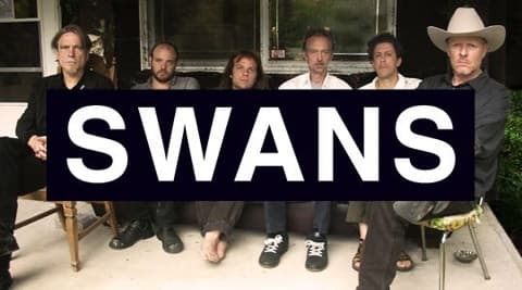 Swans på Strand