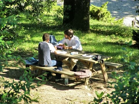 Picknicka på Djurgården