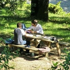 Picknicka på Djurgården