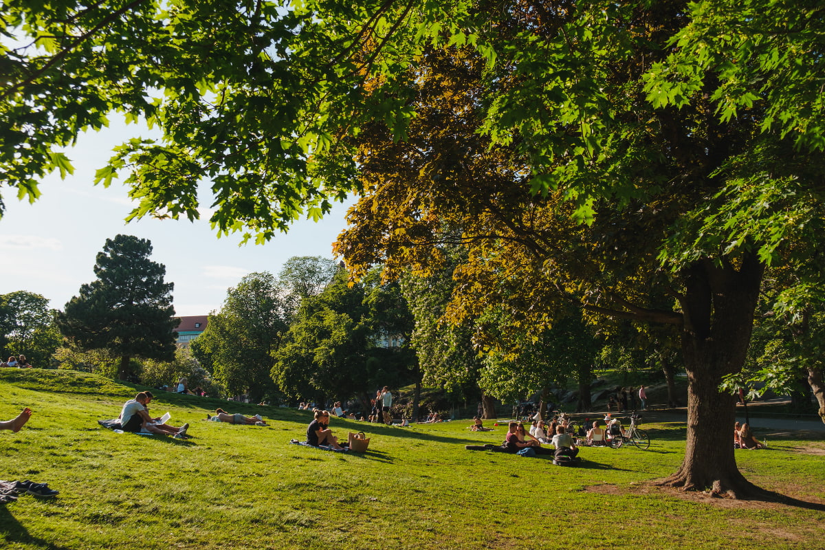 De bästa platserna för picknick i Stockholm – Aktiviteter