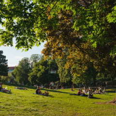 The best picnic spots in Stockholm
