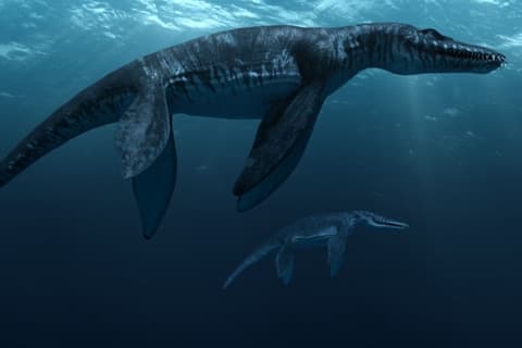 Om upptäckten av ”havens T-rex” i 3D på Cosmonova