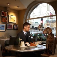 Dog-friendly cafés and restaurants in Stockholm 