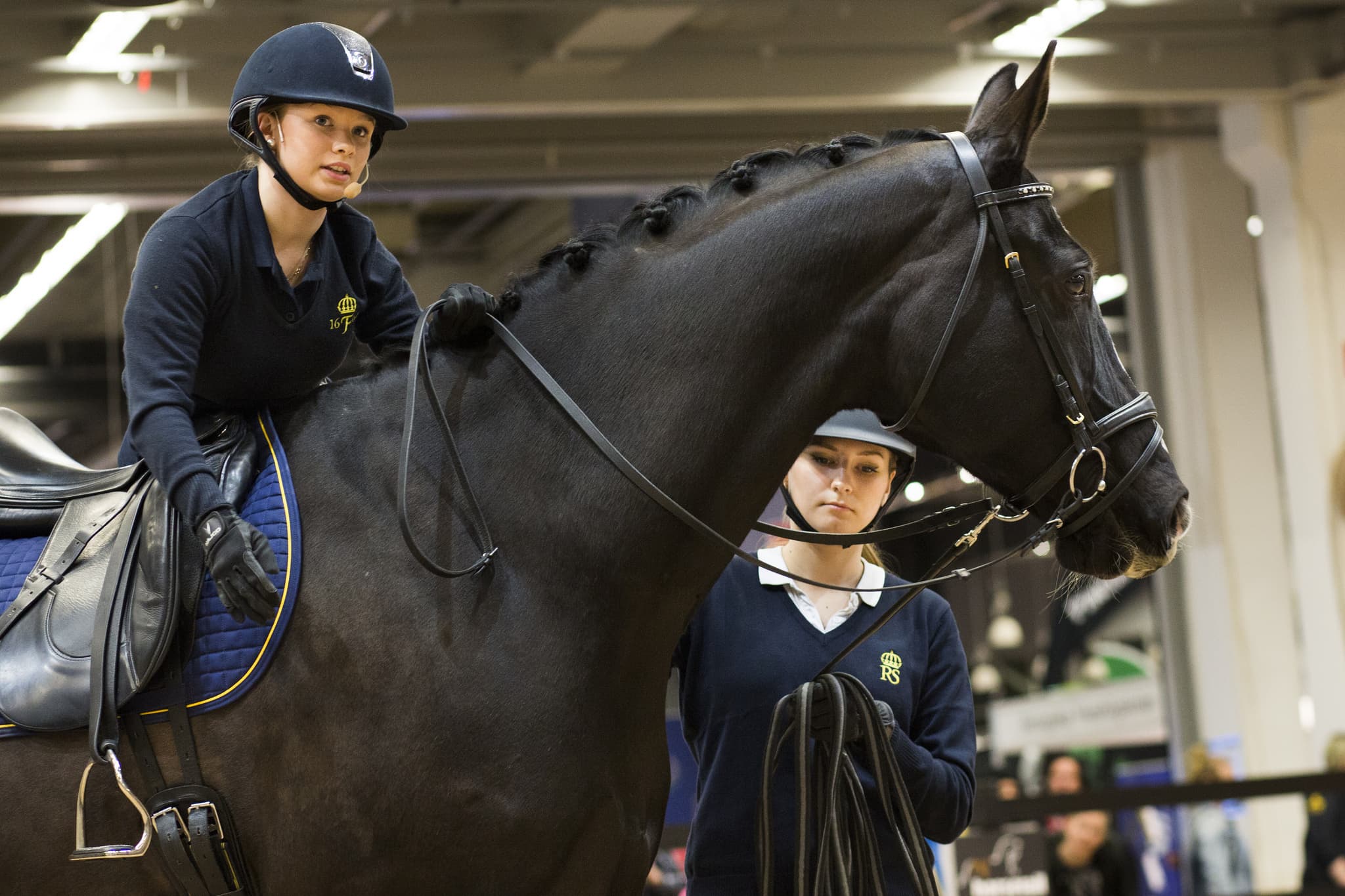 Hästfest i stan när Gothenburg Horse Show intar Svenska Mässan
