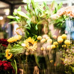 Här finns Göteborgs bästa blomsterbutiker