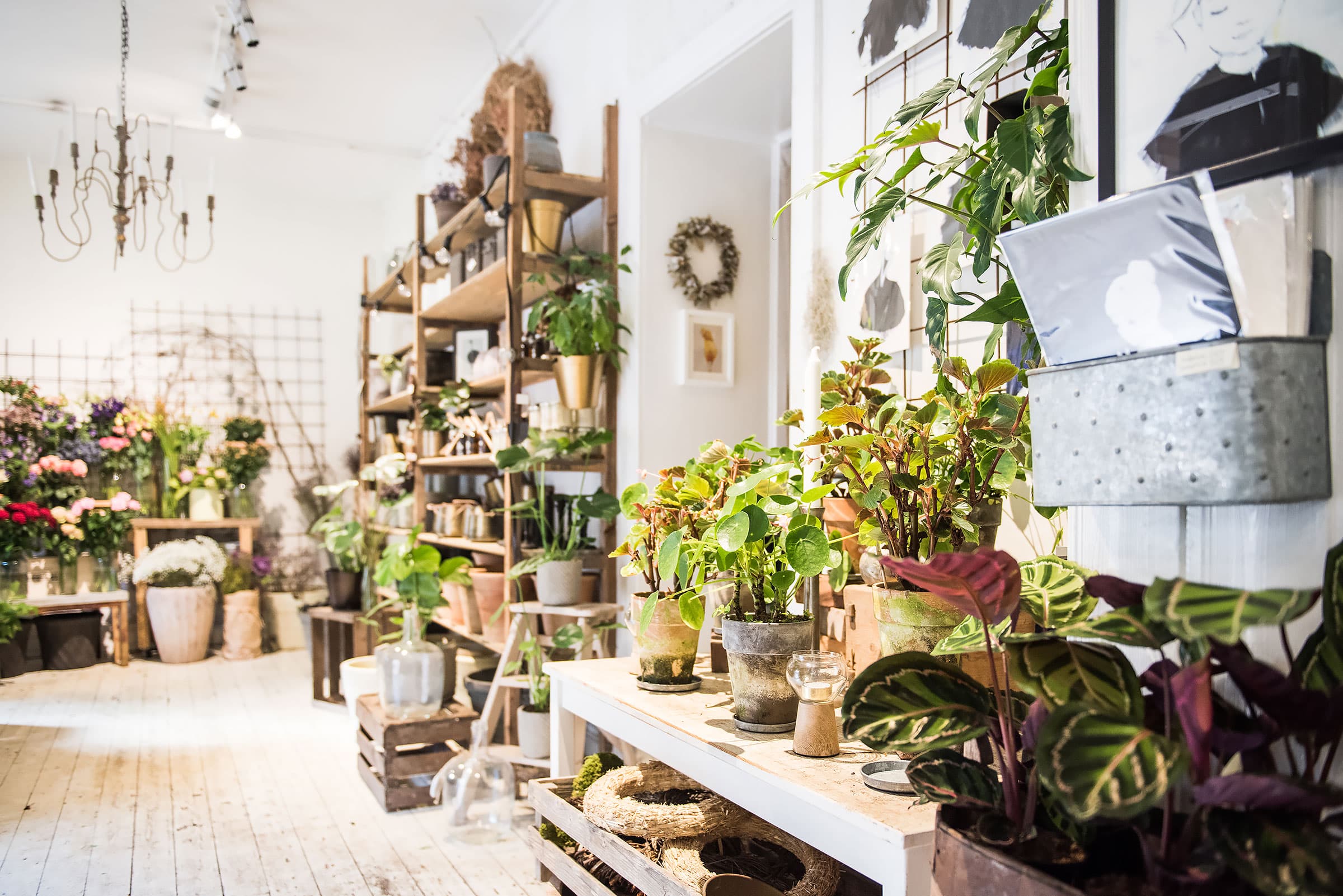 Här finns Göteborgs bästa blomsterbutiker