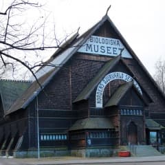 Hållbar pop up-restaurang på Biologiska museet