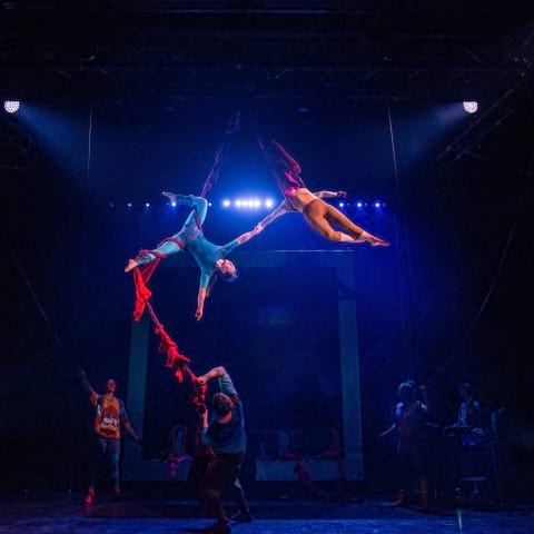 Cirkus Cirkör på Södra Teatern återvänder hösten 2019