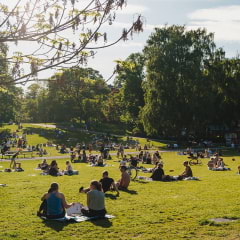 Här hittar du mysiga parker i Stockholm