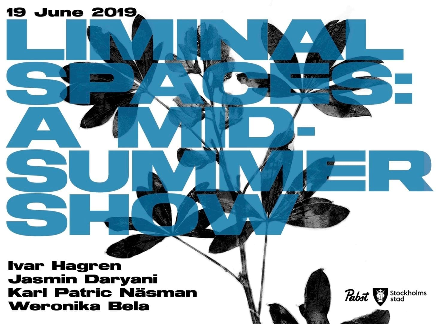 Liminal Spaces – a midsummer show