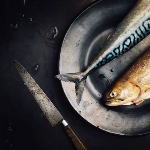 Stockholm får ny fiskrestaurang mitt i city