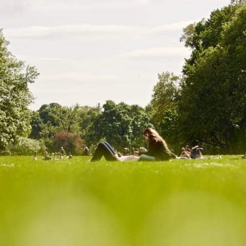Guiden till Göteborgs bästa picknickplatser