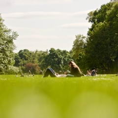 Guiden till Göteborgs bästa picknickplatser