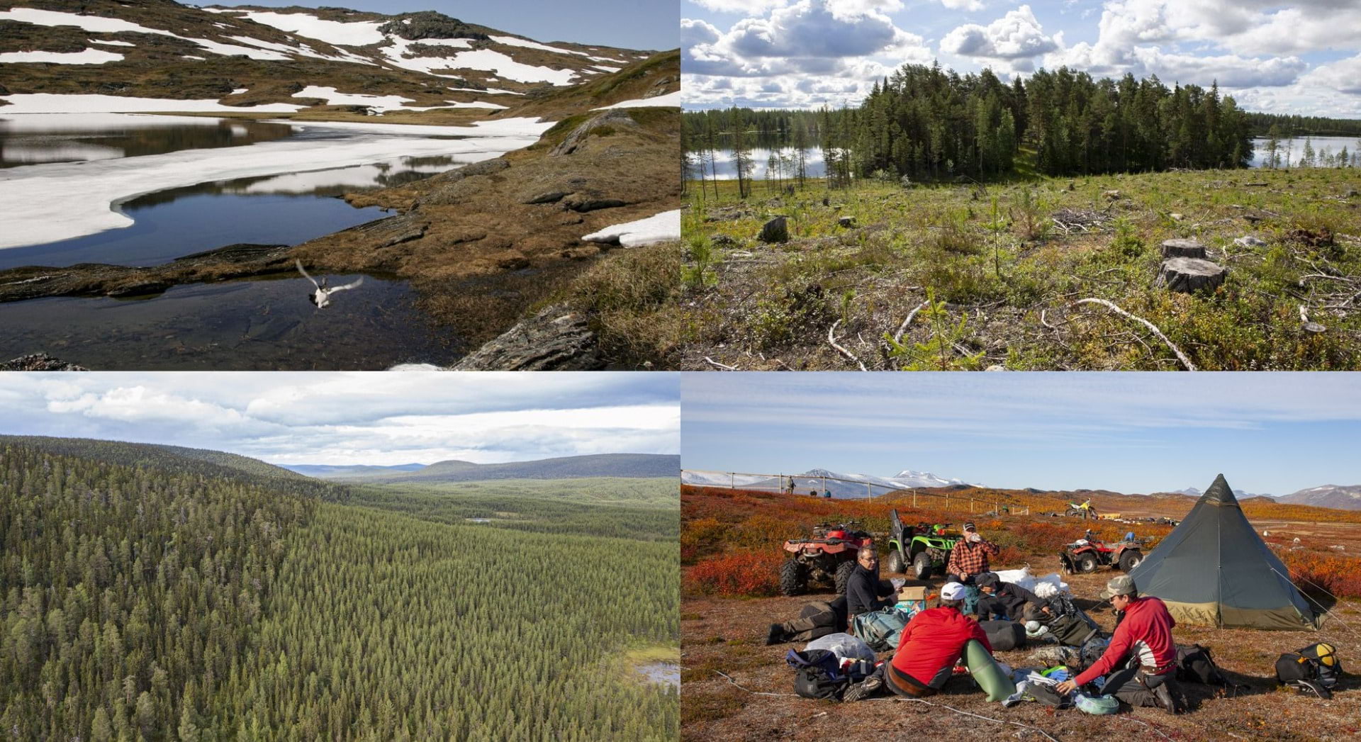 Samiska nationaldagen: Tillståndet i Världsarvet Laponia 