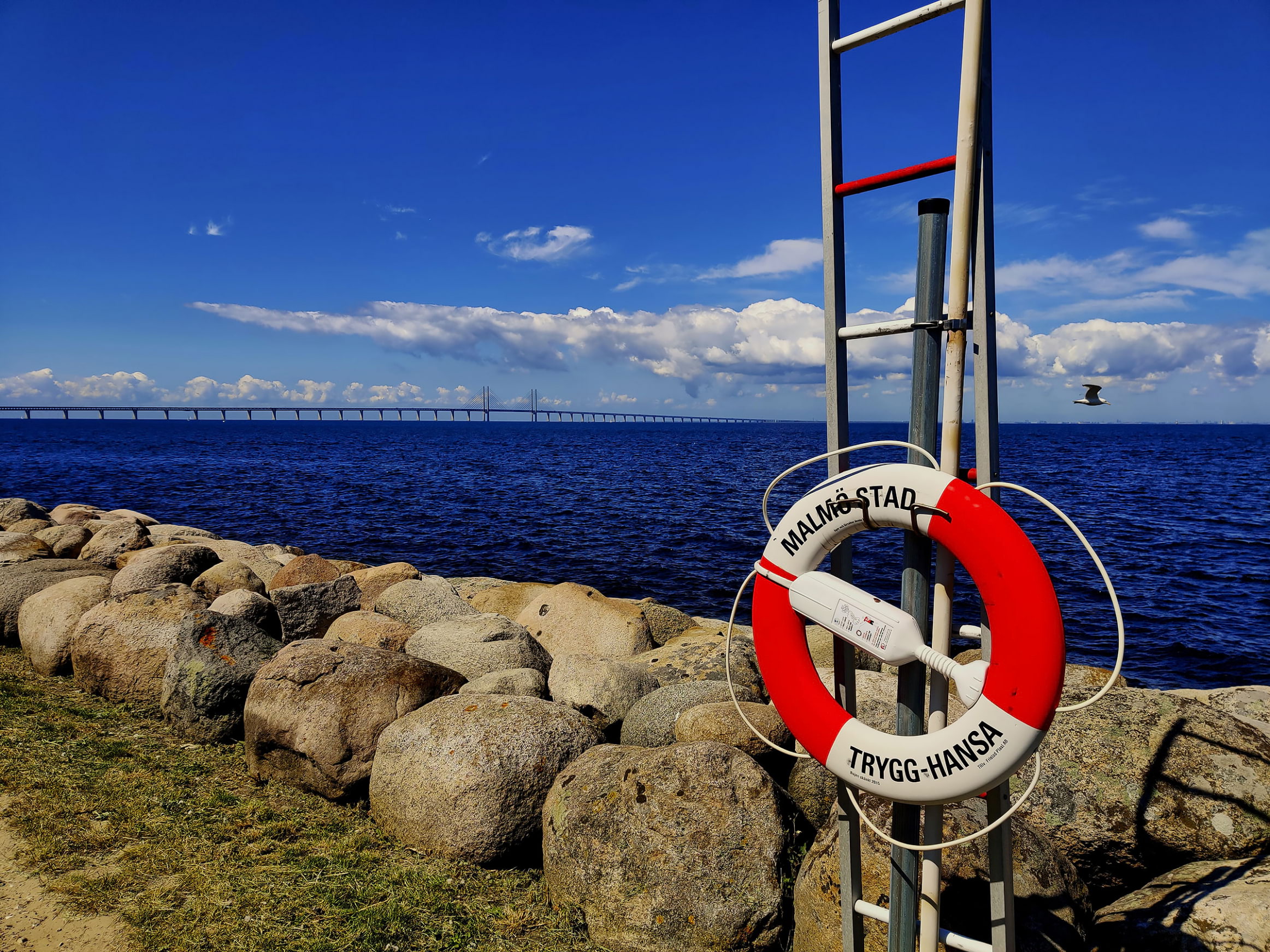 Solig dag vid Malmös kust med utsikt över Öresundsbron.
