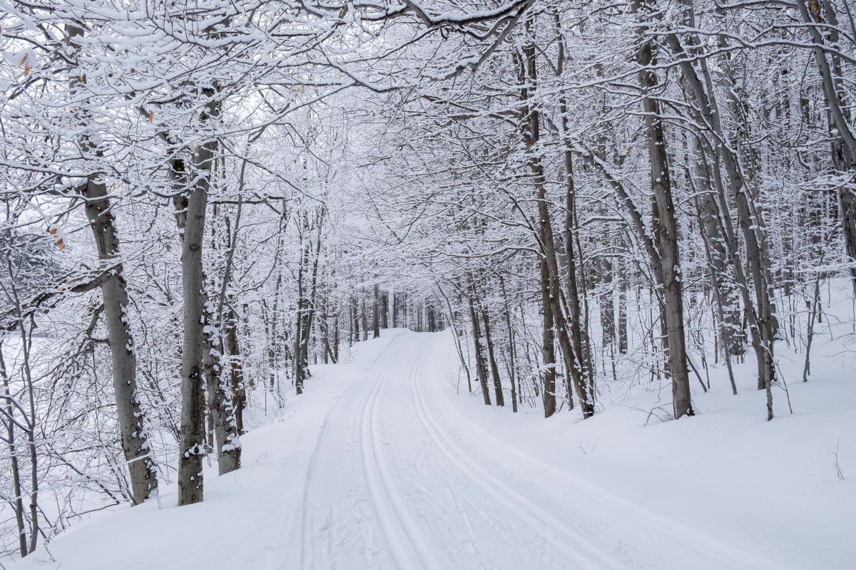Här kan du åka längdskidor i Stockholm – Vinteraktiviteter