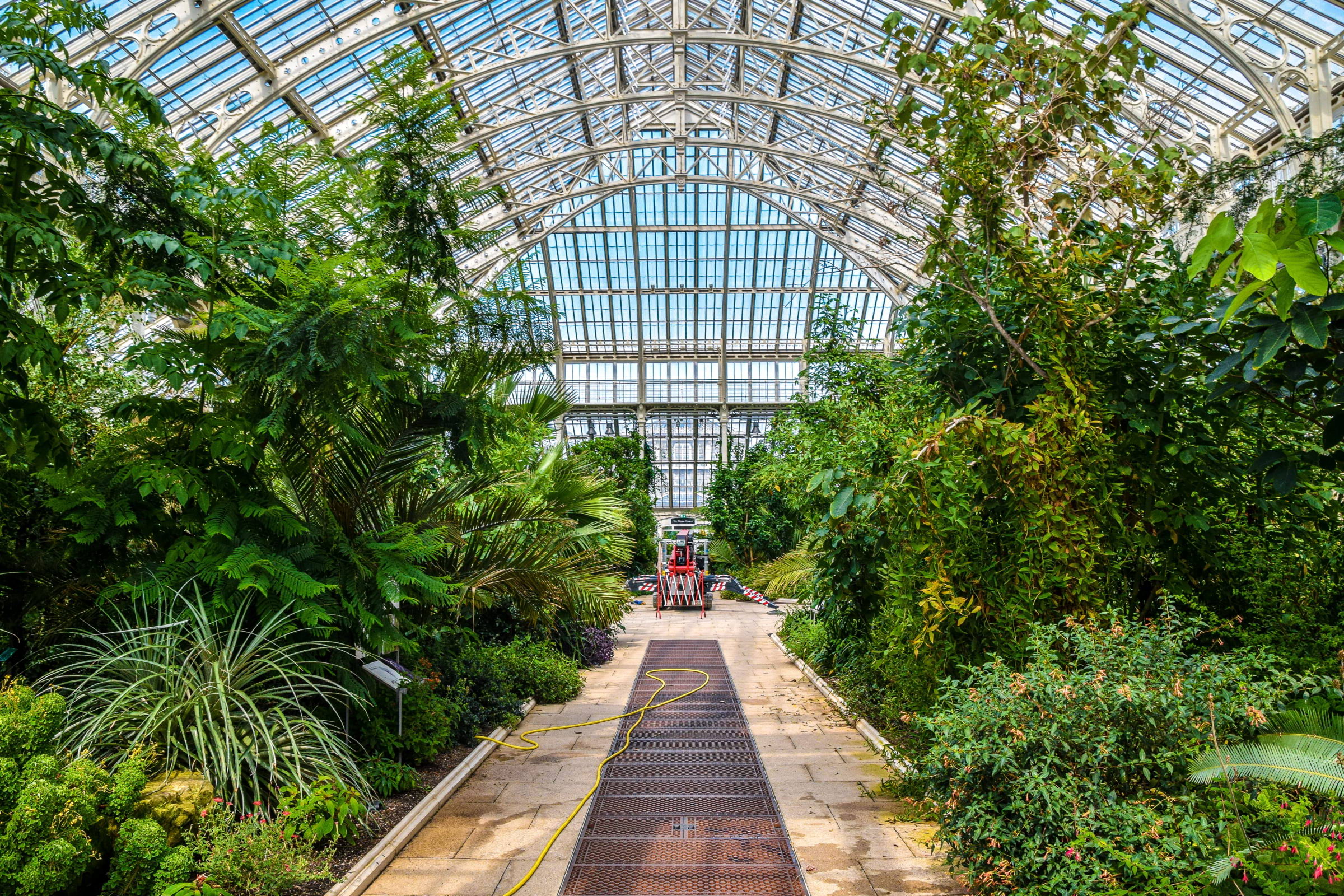 An indoor garden with a path and glass roof