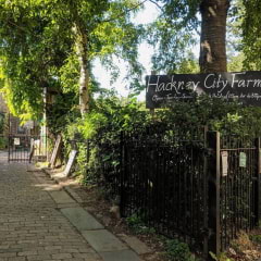 Guide to city farms in London