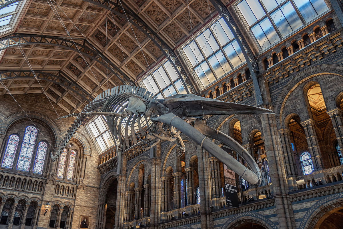 The best museums in London – Winter activities