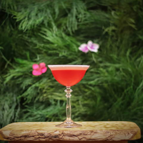 If you'd like to drink cocktails in the garden all summer, this is the event for you