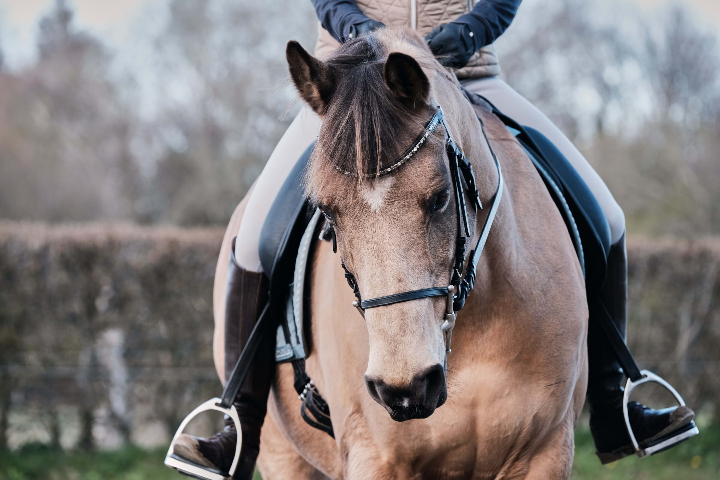 Guide to horse riding in London