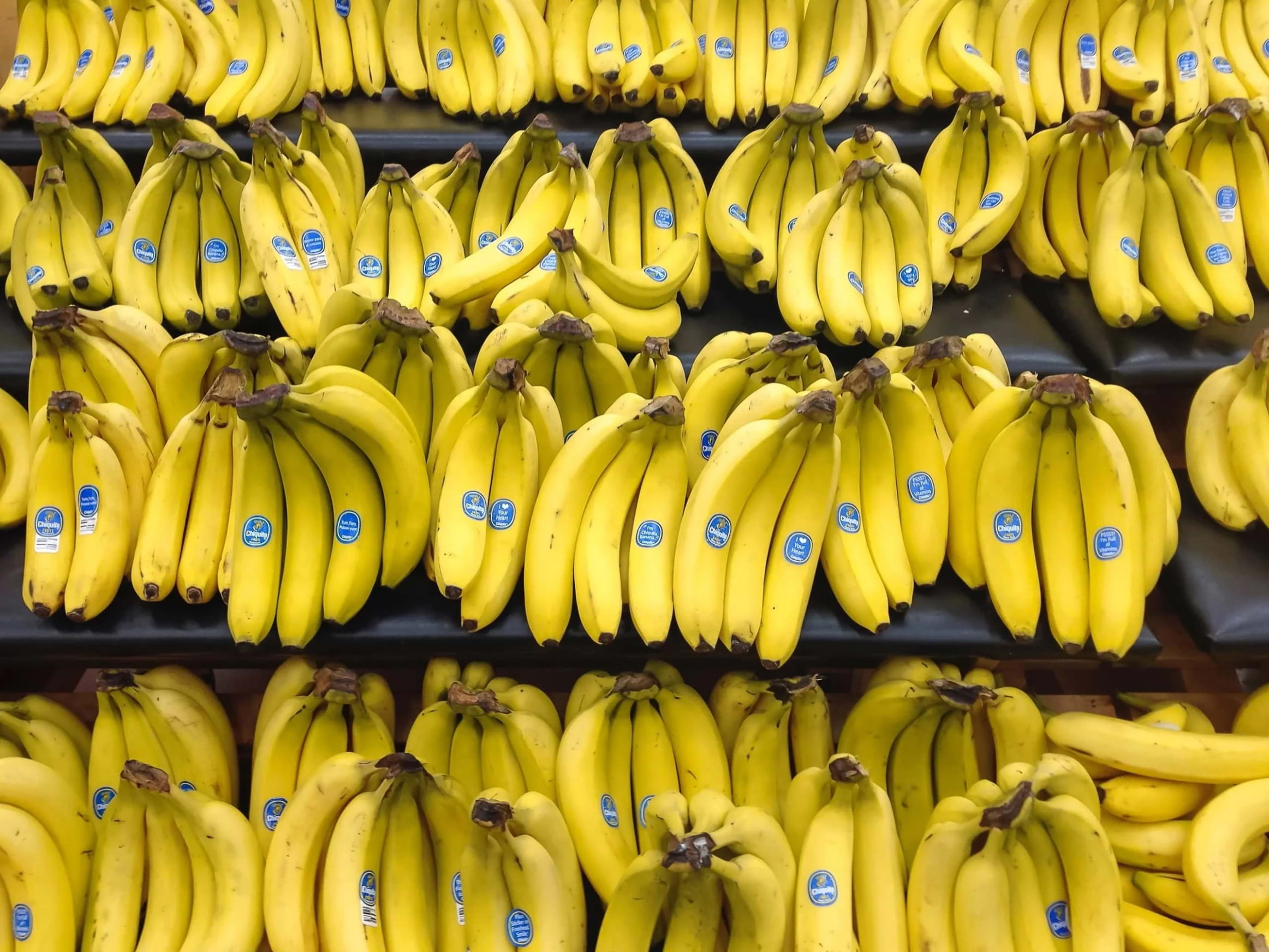 Rscued ska minska matsvinnet med Bananuppropet