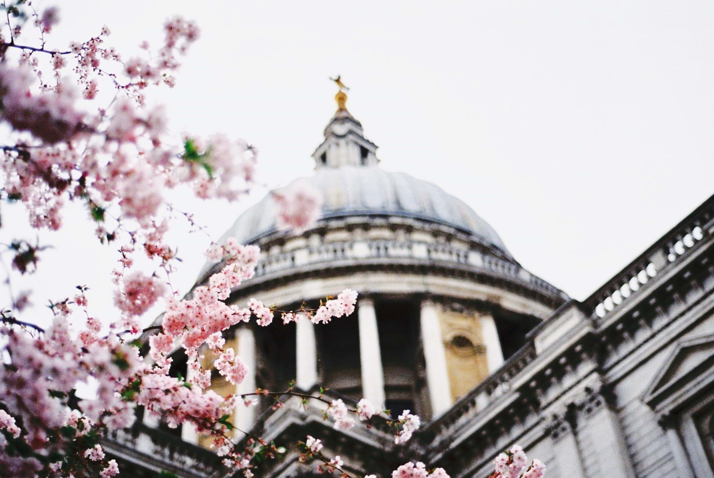 London has been crowned the most scenic city in the world for spring