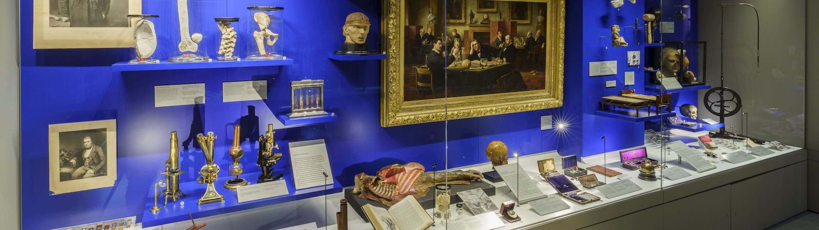 The Hunterian Museum is reopening after a six year absence