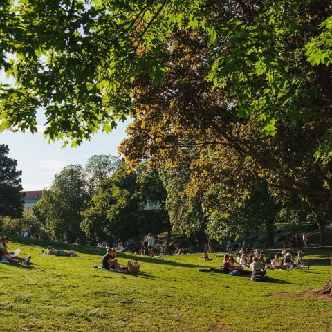 Guide to summer activities in London