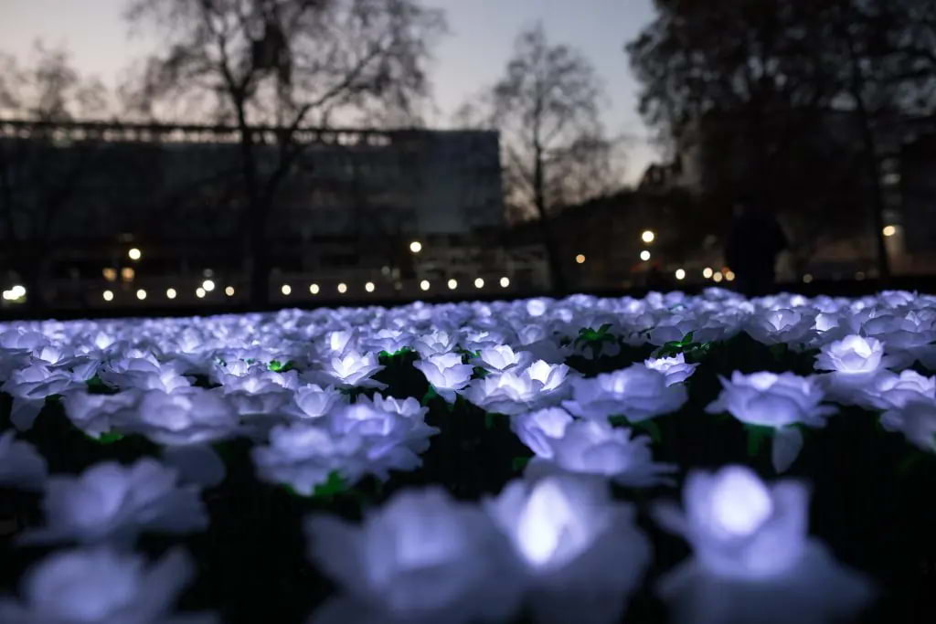The Ever After Garden, Mayfair's garden of remembrance, is lighting up again – Weekend guide