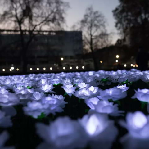 The Ever After Garden, Mayfair's garden of remembrance, is lighting up again