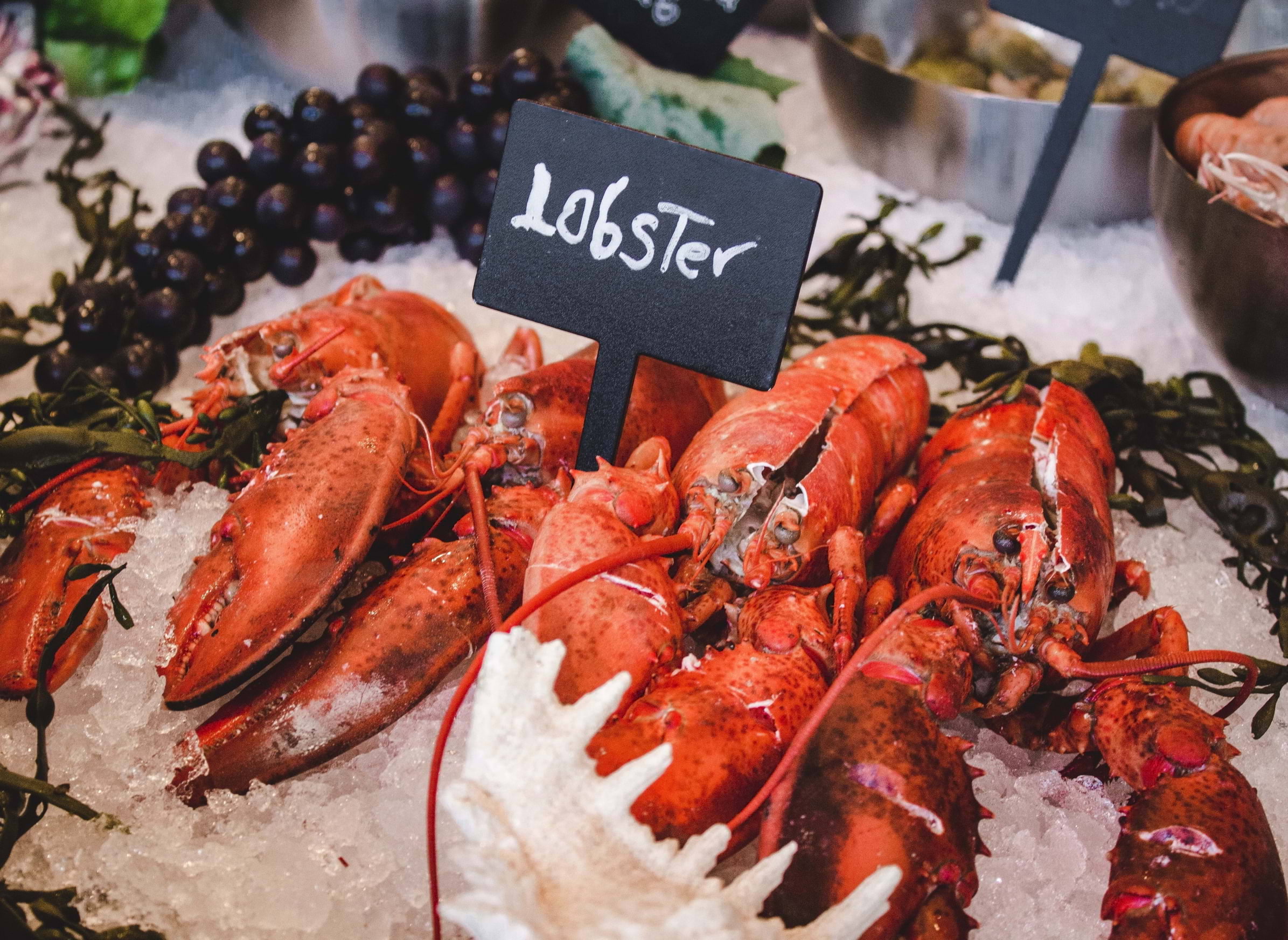 Guide to the best fishmongers in London