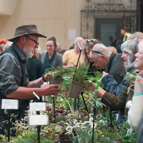 The Garden Museum is getting ready for its annual spring plant fair