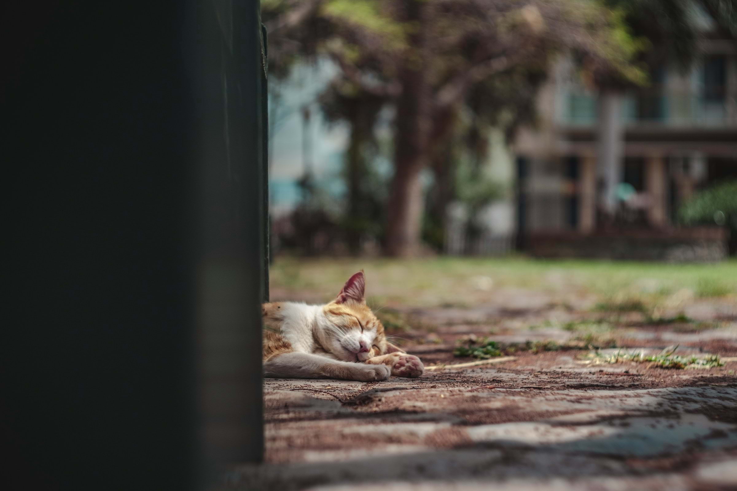 A short list of things it's absolutely too hot to think about already