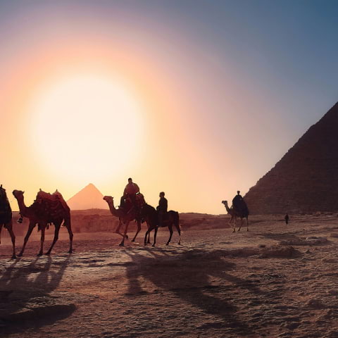 Discover the ancient wonders of Egypt at this unique event