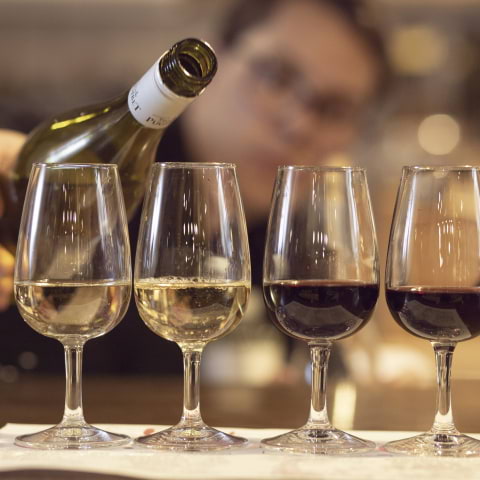 London's iconic wine bar unveils budget-friendly wine tasting