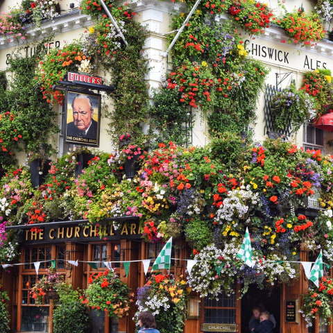 Beautiful pubs in London