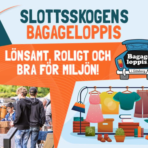 Bakluckeloppis vid Slottsskogen i Göteborg