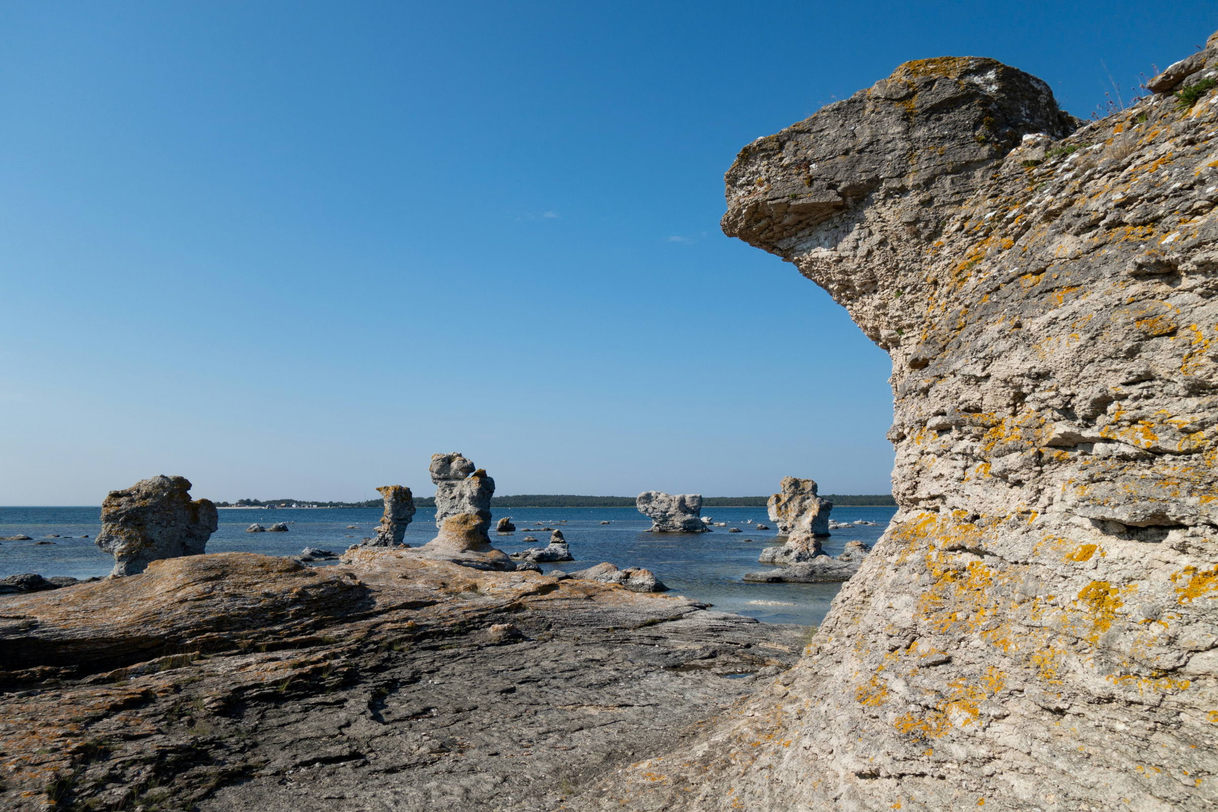 Guiden till Gotland: Allt du inte får missa på ön