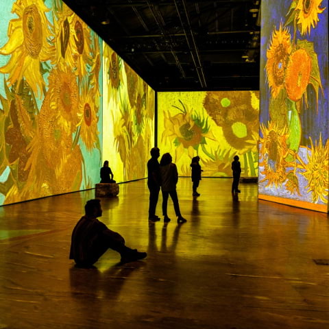 Imagine Van Gogh – en immersiv konstupplevelse på Artipelag