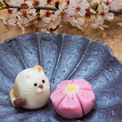 Japanese Wagashi workshop