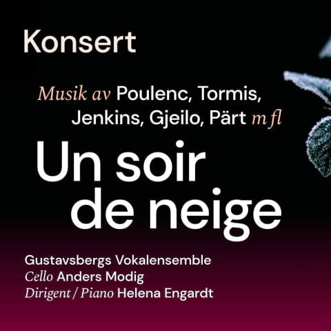 Un soir de neige med Gustavsbergs Vokalensemble