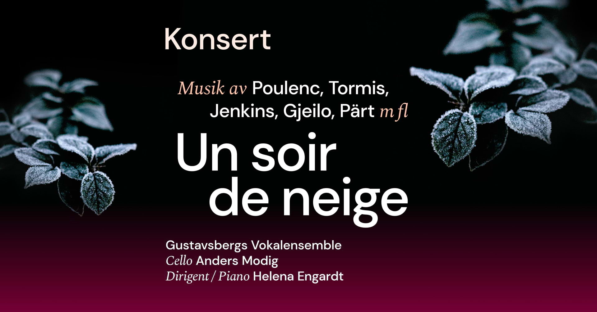 Un soir de neige med Gustavsbergs Vokalensemble