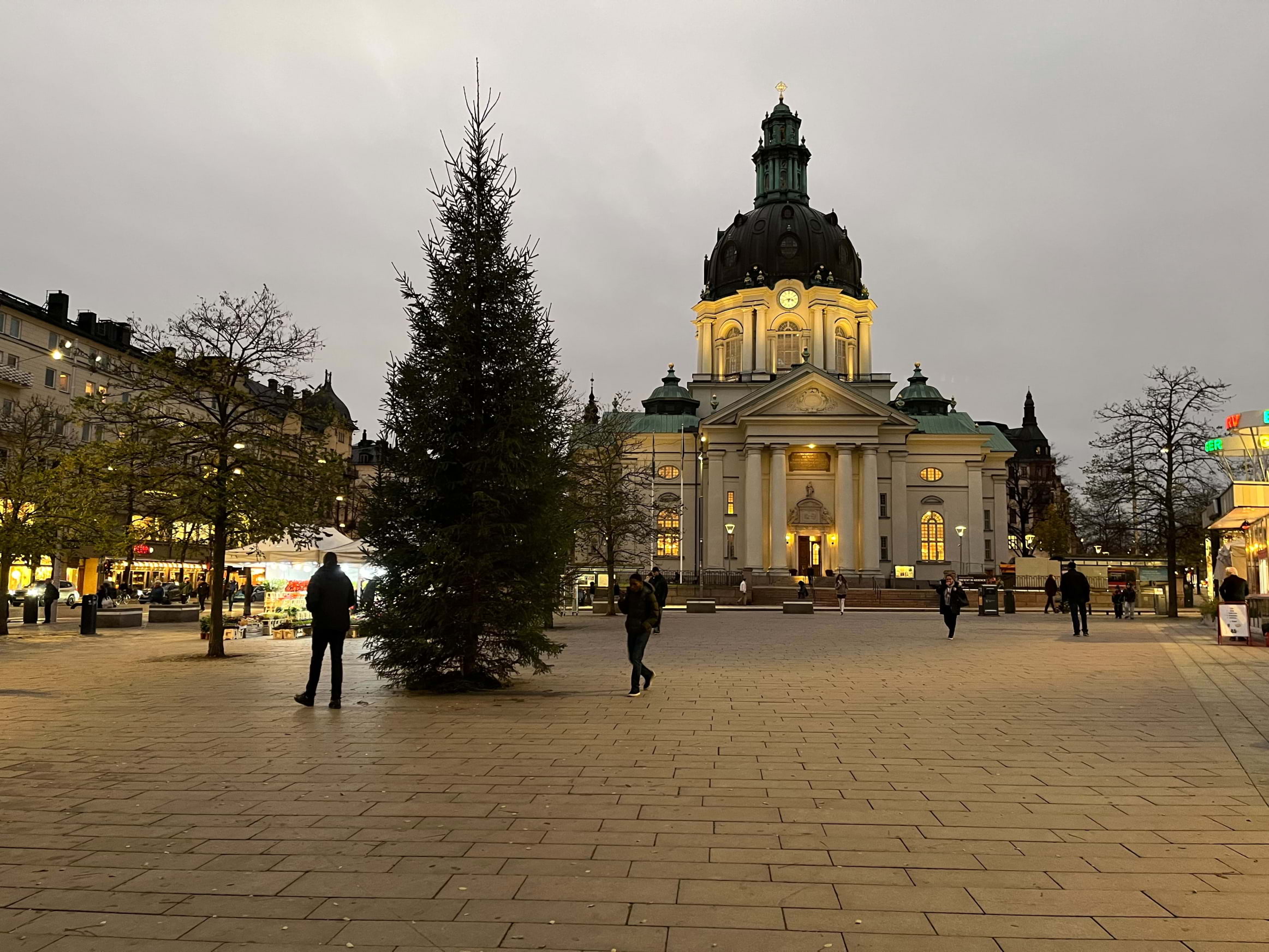 Granen har kommit upp på Odenplan. Foto: Emmi Anderberg