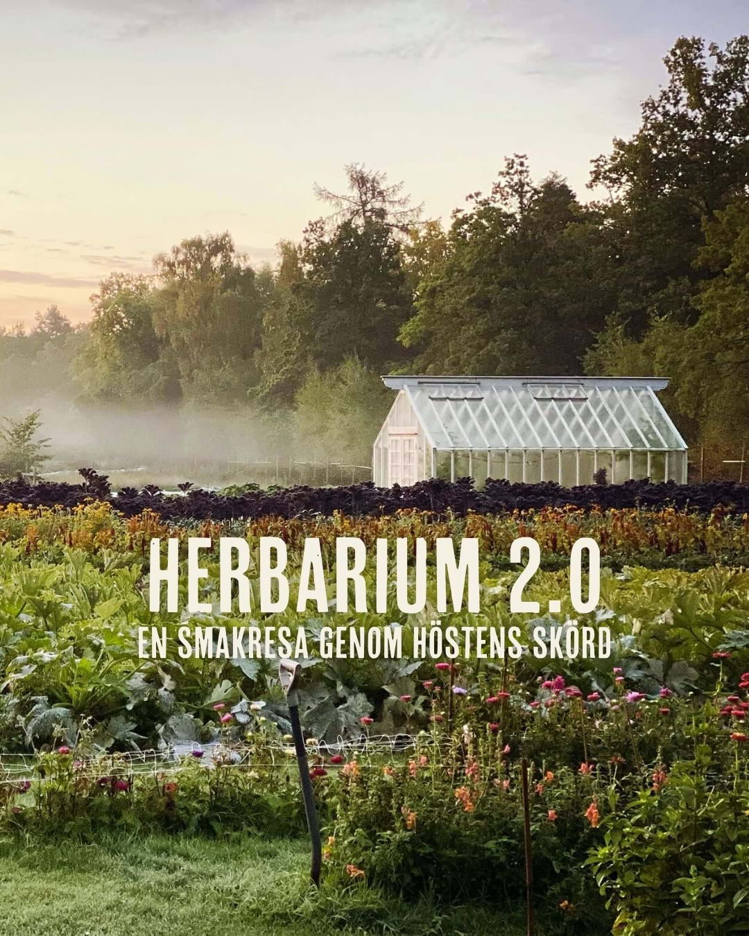 Herbarium 2.0 – höstmiddagar på Rosendals Trädgård